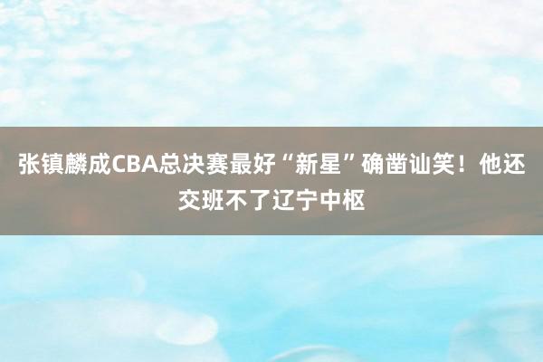 张镇麟成CBA总决赛最好“新星”确凿讪笑！他还交班不了辽宁中枢